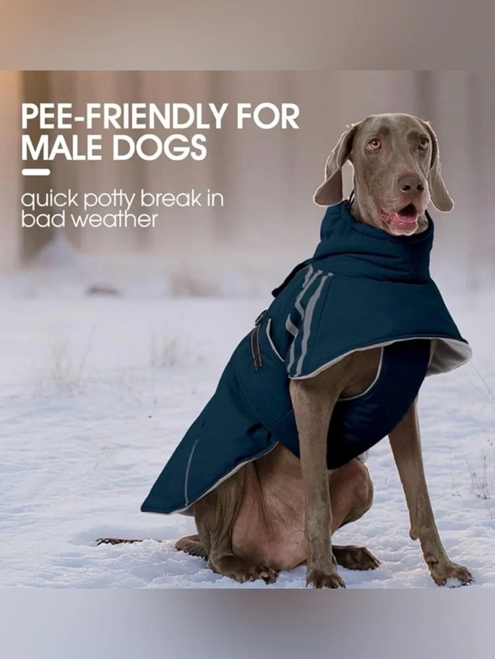 Teal Dog Raincoat with Reflective Stripes - Unbranded